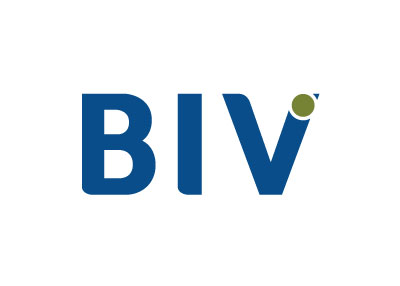 BIV CORPORATION